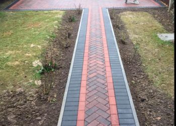 831a1648 5455 4f3e A1aa 7d158516dc31